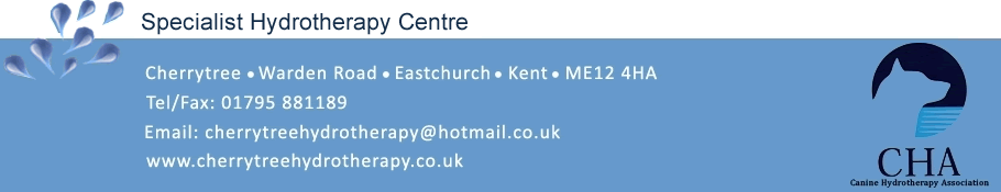 cherrytree canine hydrotherapy for dogs kent SE England treadmill swimming for dogs